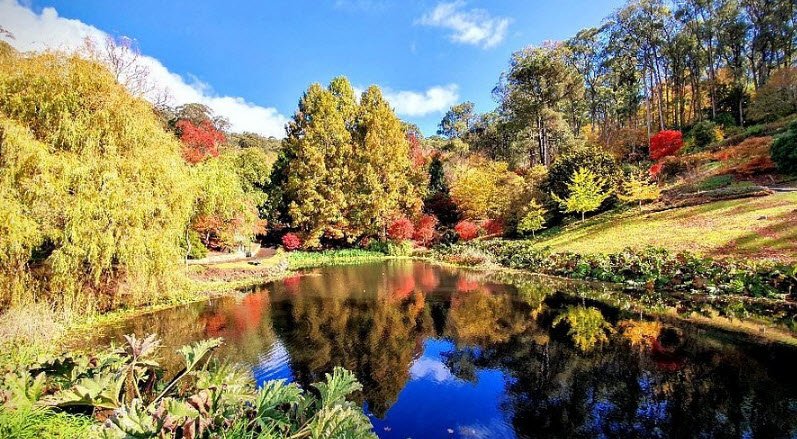 Mount Lofty Botanic Garden